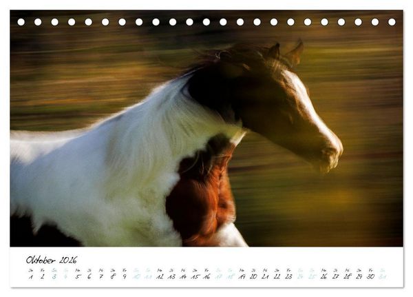 Produktbild: Pferde vom Wind verweht (Tischkalender 2026 DIN A5 quer), CALVENDO Monatskalender
