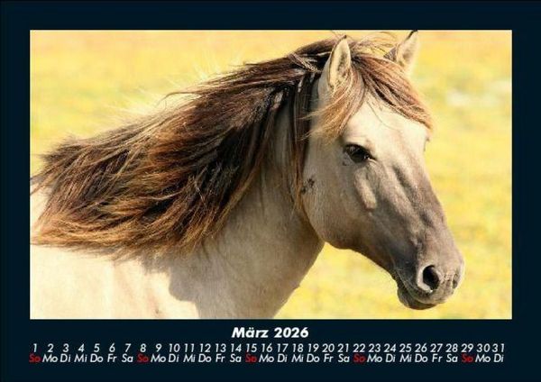 Produktbild: Welt der Tiere 2026 Fotokalender DIN A5