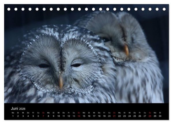 Produktbild: Greifv&ouml;gel (Tischkalender 2026 DIN A5 quer), CALVENDO Monatskalender