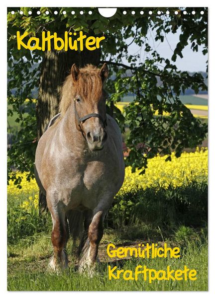 Produktbild: Kaltbl&uuml;ter (Wandkalender 2026 DIN A4 hoch), CALVENDO Monatskalender