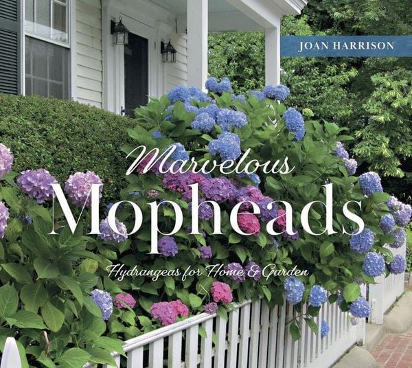 Produktbild: Marvelous Mopheads