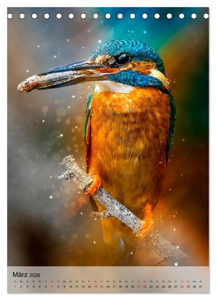 Produktbild: Schillernder Eisvogel (Tischkalender 2026 DIN A5 hoch), CALVENDO Monatskalender