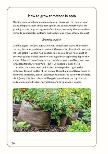 Produktbild: The Tomato Grower's Handbook