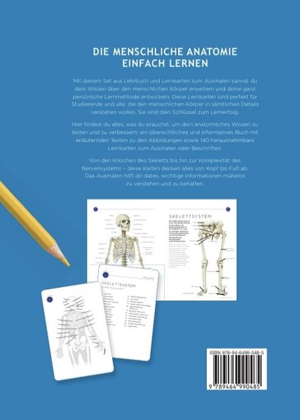 Produktbild: Anatomie &ndash; Anleitung und Malkarten zum Selbststudium