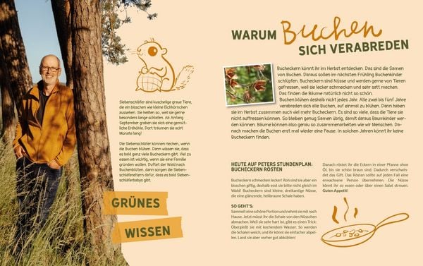 Produktbild: Peter Wohllebens Schule des Waldes