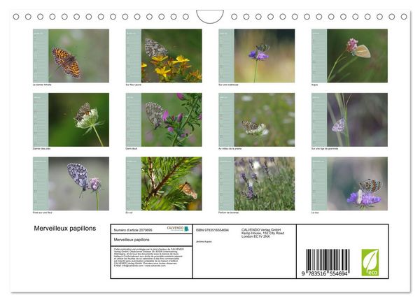 Produktbild: Merveilleux papillons (Calendrier mural 2026 DIN A4 vertical), CALVENDO calendrier mensuel