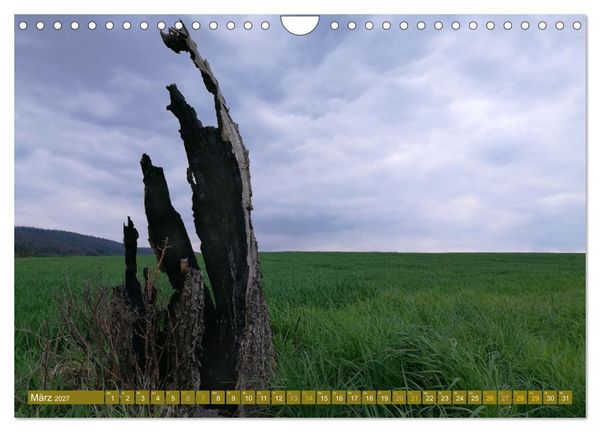 Produktbild: Apfelbaum und Streuobstwiesen (Wandkalender 2027 DIN A4 quer), CALVENDO Monatskalender