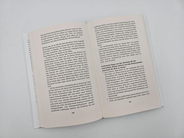 Produktbild: The brain at rest
