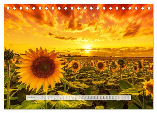 Produktbild: Sch&ouml;nes Magdeburg (Tischkalender 2026 DIN A5 quer), CALVENDO Monatskalender