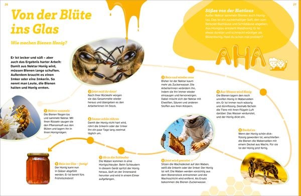 Produktbild: WAS IST WAS Bienen. Summende Genies