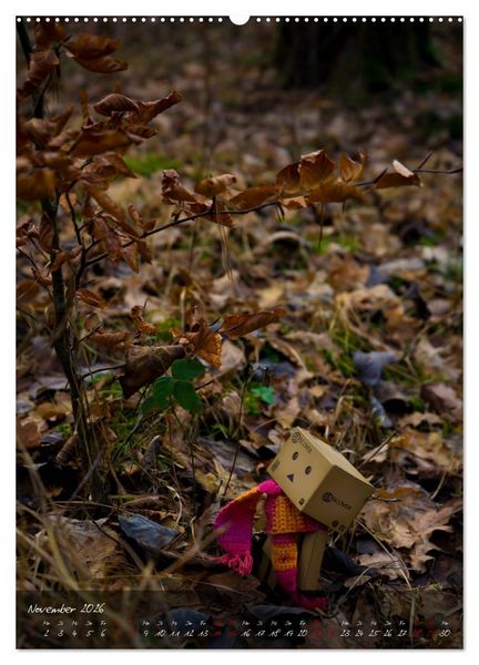 Produktbild: Ein Jahr voller Danbo (Wandkalender 2026 DIN A2 hoch), CALVENDO Monatskalender