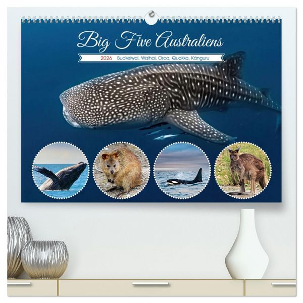 Produktbild: Big Five Australiens Buckelwal, Walhai, Orca, Quokka,K&auml;nguru (hochwertiger Premium Wandkalender 2026 DIN A2 quer), Kunstdruck in Hochglanz