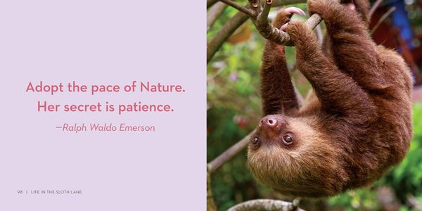 Produktbild: Life in the Sloth Lane