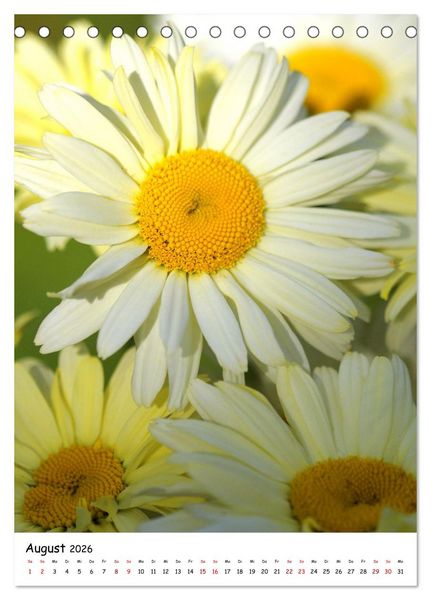 Produktbild: Bl&uuml;tenpracht im Fr&uuml;hling und Sommer (Tischkalender 2026 DIN A5 hoch), CALVENDO Monatskalender