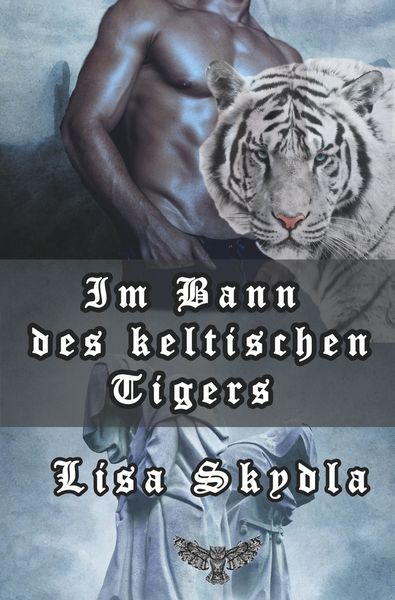Produktbild: Im Bann des keltischen Tigers