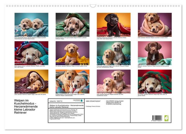 Produktbild: Welpen im Kuschelmodus - Herzerw&auml;rmende kleine Labrador Retriever (Wandkalender 2026 DIN A2 quer), CALVENDO Monatskalender