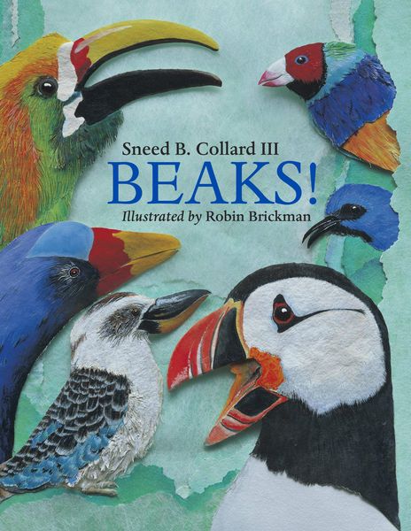 Produktbild: Beaks!