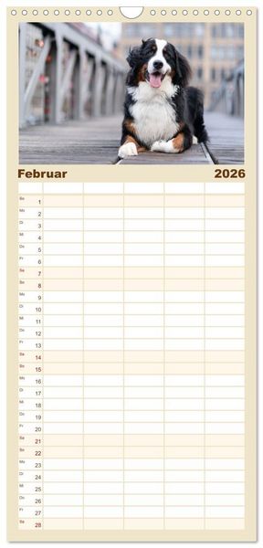Produktbild: Familienplaner 2026 - Hunde in der City - Unterwegs in Hamburg mit 5 Spalten (Wandkalender, 21 x 45 cm) CALVENDO