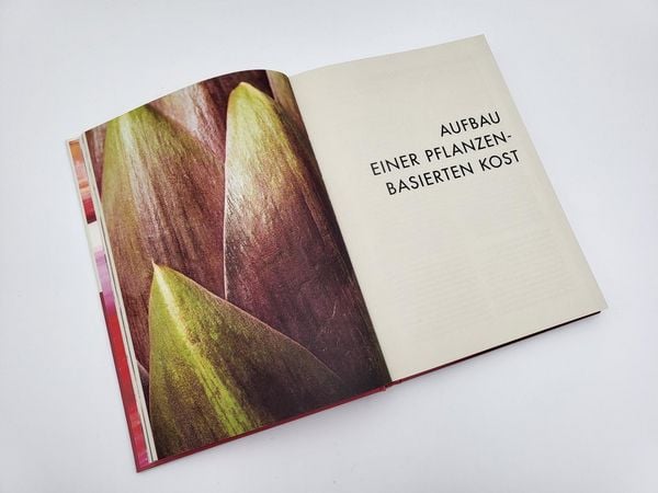 Produktbild: Deliciously Ella. How To Go Plant-Based