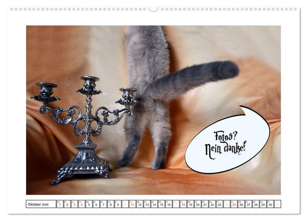 Produktbild: Lustiger Katzenkalender (hochwertiger Premium Wandkalender 2026 DIN A2 quer), Kunstdruck in Hochglanz