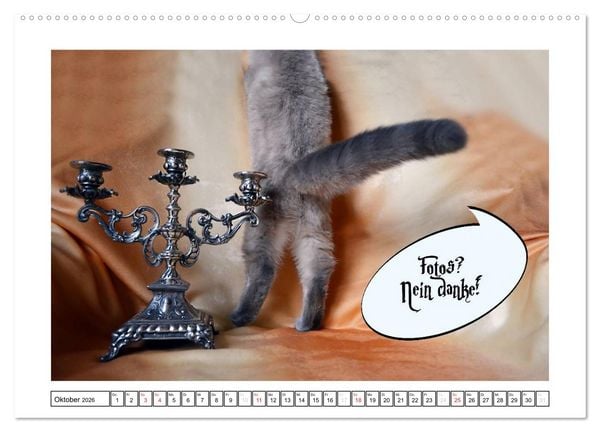 Produktbild: Lustiger Katzenkalender (Wandkalender 2026 DIN A2 quer), CALVENDO Monatskalender
