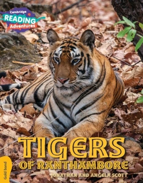 Produktbild: Cambridge Reading Adventures Tigers of Ranthambore Gold Band
