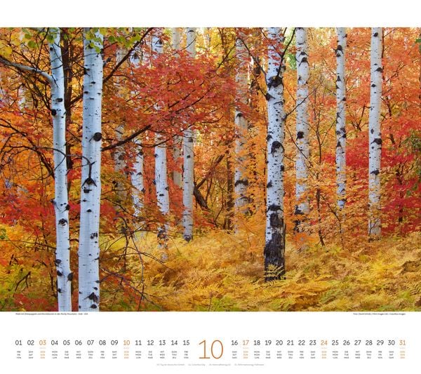 Produktbild: Wald Kalender 2027