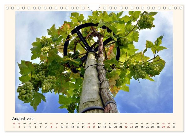 Produktbild: Weinlandschaft - Heppenheim an der Bergstra&szlig;e (Wandkalender 2026 DIN A4 quer), CALVENDO Monatskalender