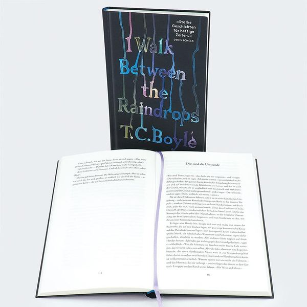 Produktbild: I walk between the Raindrops. Storys