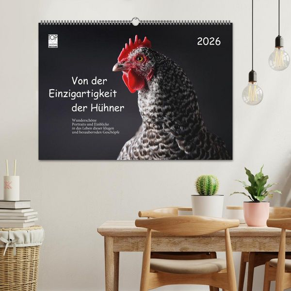 Produktbild: Von der Einzigartigkeit der H&uuml;hner 2026 (Wandkalender 2026 DIN A2 quer), CALVENDO Monatskalender