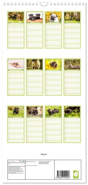 Produktbild: Familienplaner 2026 - M&ouml;pse mit 5 Spalten (Wandkalender, 21 x 45 cm) CALVENDO