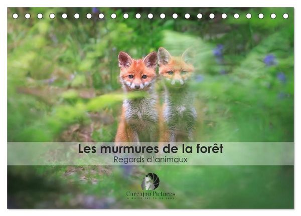 Produktbild: Les murmures de la for&ecirc;t - Regards d'animaux (Calendrier de bureau 2027 DIN A5 vertical), CALVENDO calendrier mensuel