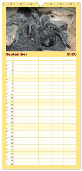 Produktbild: Familienplaner 2026 - Vogelspinnen mit 5 Spalten (Wandkalender, 21 x 45 cm) CALVENDO