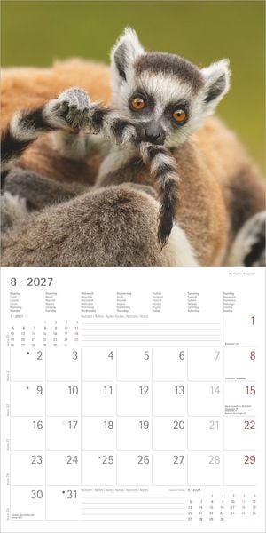 Produktbild: Tierbabys 2027