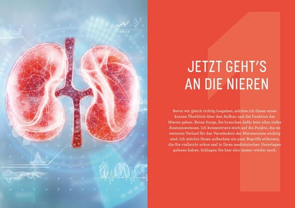 Produktbild: Nierensteine &ndash; Ursachen erkennen, richtig behandeln, R&uuml;ckf&auml;lle verhindern