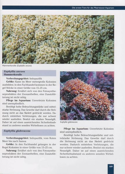 Produktbild: Das Meerwasseraquarium