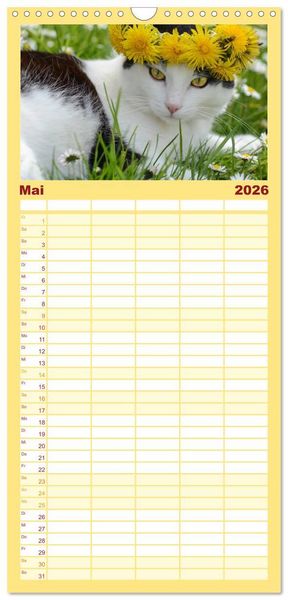 Produktbild: Familienplaner 2026 - Die Launen der Katzen 2026 mit 5 Spalten (Wandkalender, 21 x 45 cm) CALVENDO