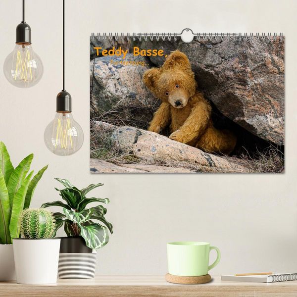 Produktbild: Teddy Basse, Fortsetzung... (Wandkalender 2026 DIN A4 quer), CALVENDO Monatskalender