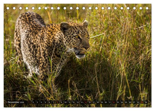 Produktbild: Kenia 2026 (Tischkalender 2026 DIN A5 quer), CALVENDO Monatskalender