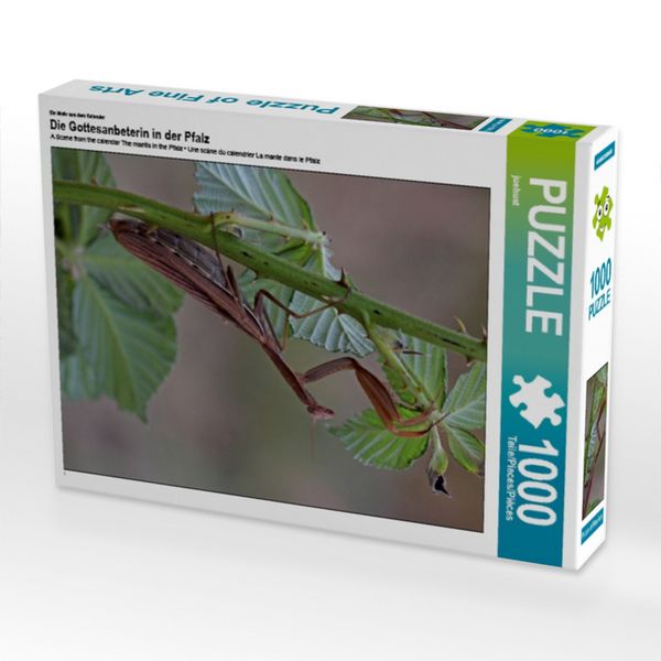 CALVENDO Puzzle Ein Motiv aus dem Kalender Die Gottesanbeterin in der Pfalz | 1000 Teile Lege-Größe 64x48cm Foto-Puzzle für glückliche Stunden