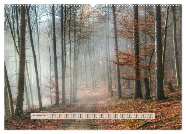 Produktbild: Nebel, Licht und Wunder (hochwertiger Premium Wandkalender 2027 DIN A2 quer), Kunstdruck in Hochglanz