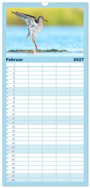 Produktbild: Familienplaner 2027 - Limikolen - Watv&ouml;gel aus Europa mit 5 Spalten (Wandkalender, 21 x 45 cm) CALVENDO