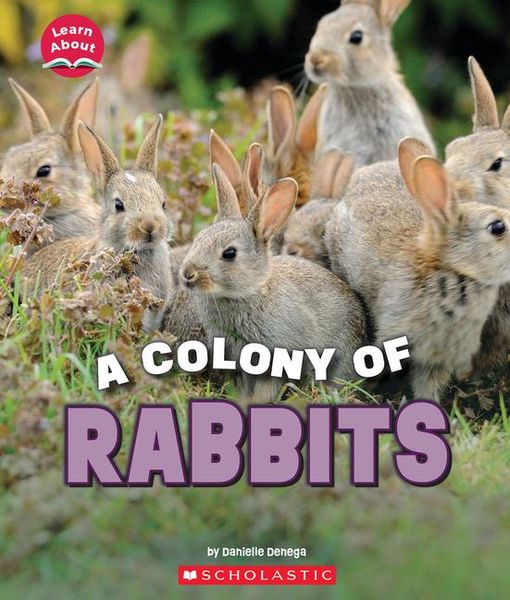 Produktbild: A Colony of Rabbits (Learn About: Animals)
