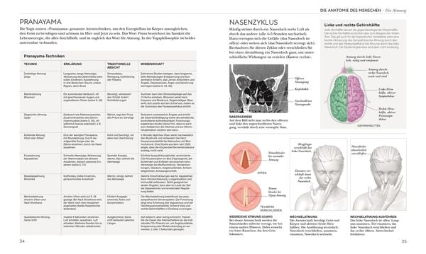 Yoga verstehen - Die Anatomie der Yoga-Haltungen