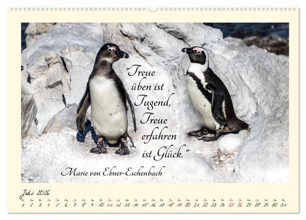 Produktbild: Gl&uuml;cksmomente Gl&uuml;cks-Zitate zu Fotos der gro&szlig;artigen s&uuml;dafrikanischen Tierwelt (Wandkalender 2026 DIN A2 quer), CALVENDO Monatskalender