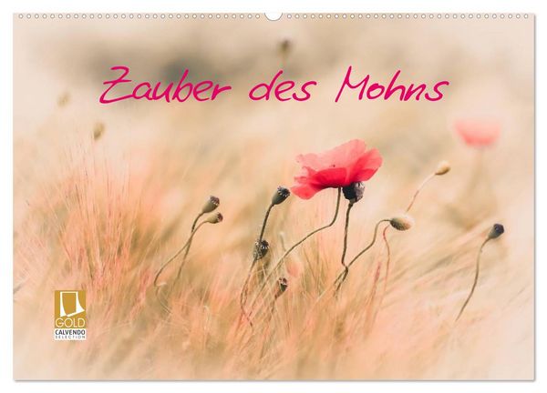 Produktbild: Zauber des Mohns (Wandkalender 2026 DIN A2 quer), CALVENDO Monatskalender