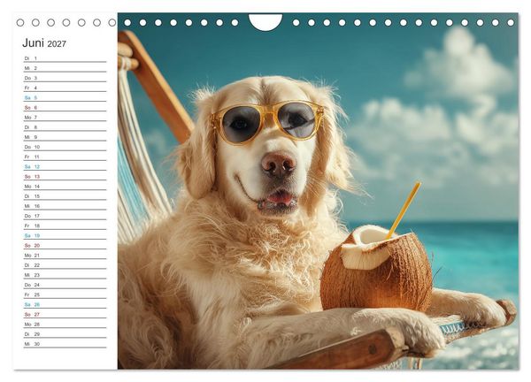 Produktbild: Tierisch genial (Wandkalender 2027 DIN A4 quer), CALVENDO Monatskalender