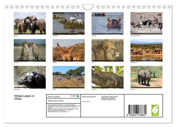 Produktbild: Wildes Leben in Afrika (Wandkalender 2026 DIN A4 quer), CALVENDO Monatskalender