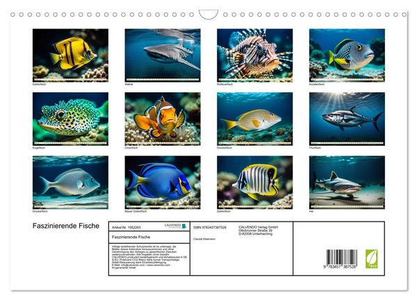 Produktbild: Faszinierende Fische (Wandkalender 2026 DIN A3 quer), CALVENDO Monatskalender