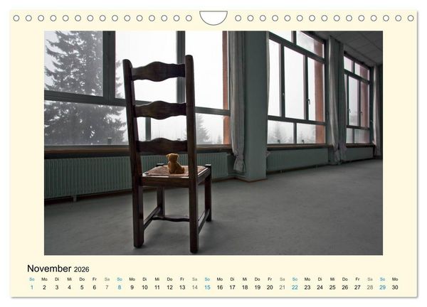 Produktbild: Herr B&auml;r urban explorer (Wandkalender 2026 DIN A4 quer), CALVENDO Monatskalender